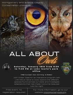 All About Owls Flyer