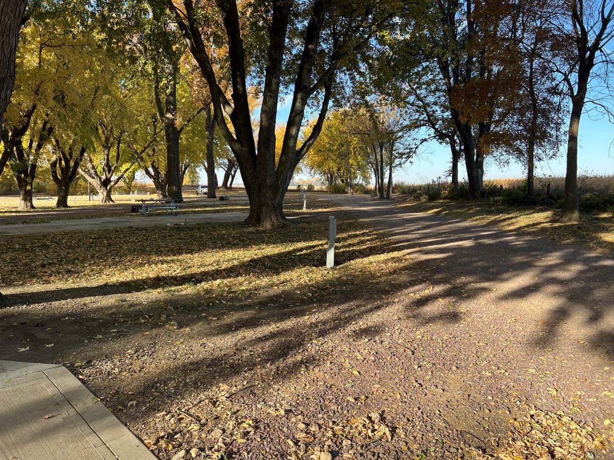 Douma campground driveway view showing all sites and large trees