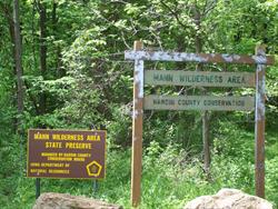 Mann Wilderness Area