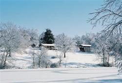 Covered Bridge - Winter