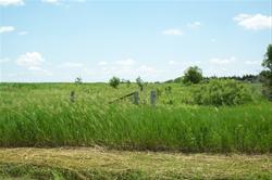 Entrance into the prairie