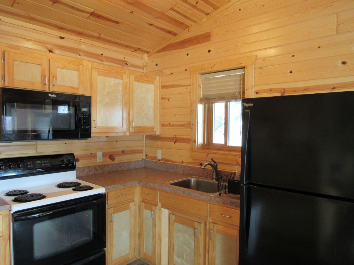 Lakeview Cabin - Full kitchen with stove, refrigerator, microwave, sink, and cabinet storage.