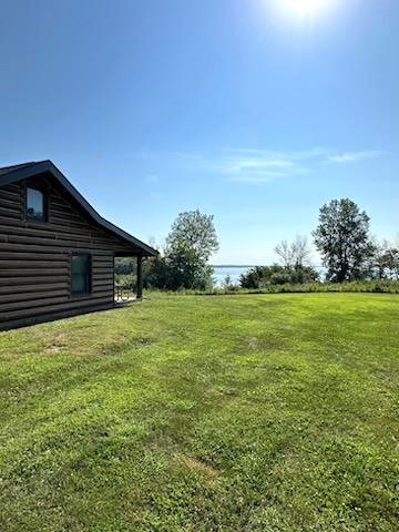 Spruce Cabin View