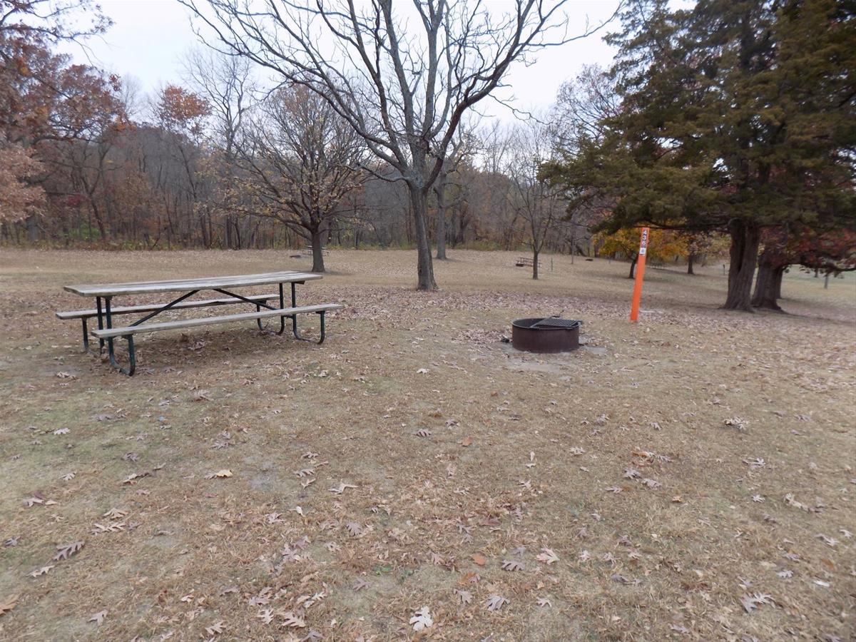 Jester Park Campsite 436 grass pad