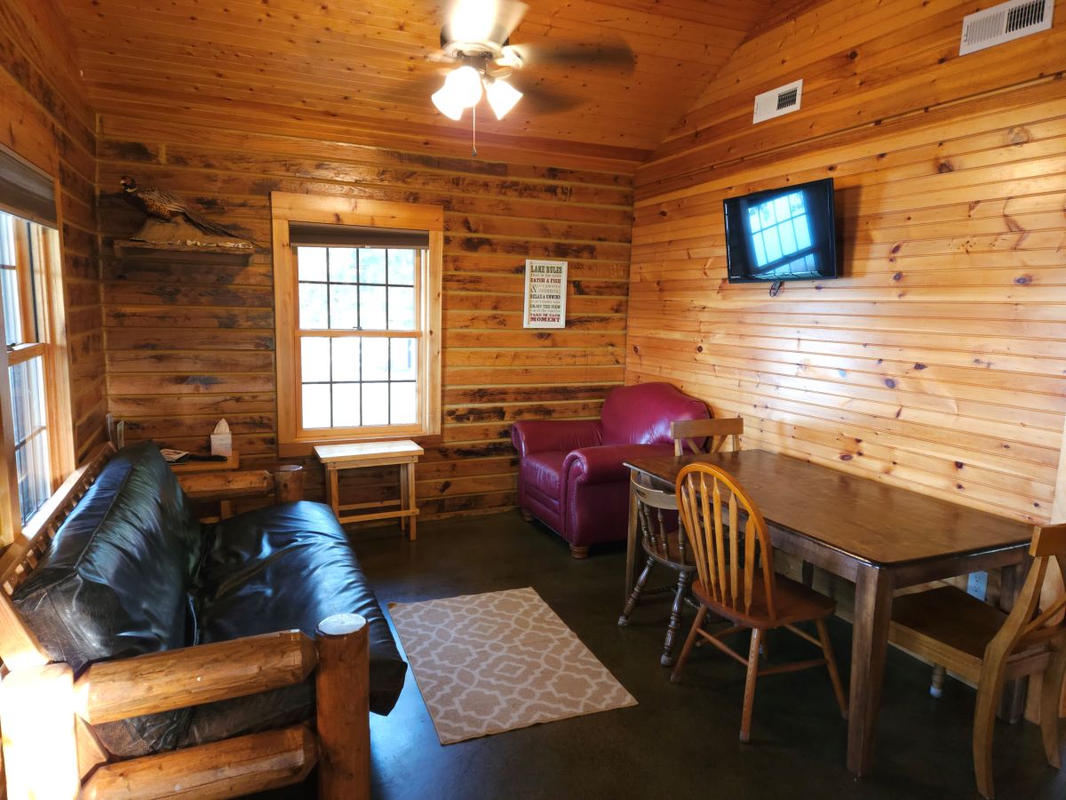 Hilltop Cabin - living room with table, chair and futon (full size bed)