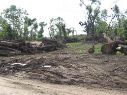 Damage done by the EF-5 tornado. 