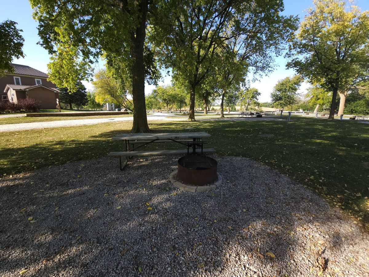 Site 88 – Picnic table area and fire ring with grill