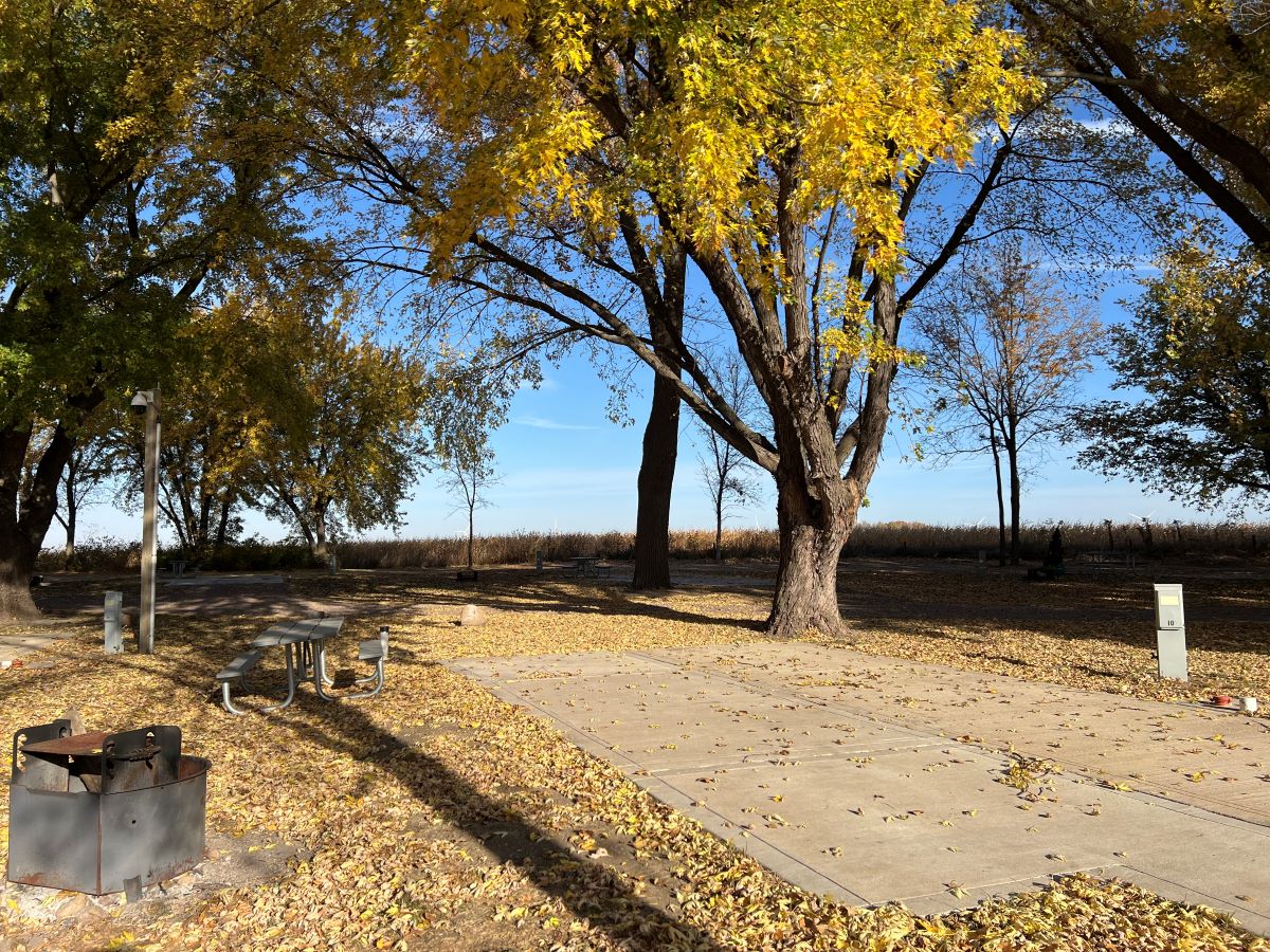 Douma campsite #10 cement parking pad with large trees and picnic table