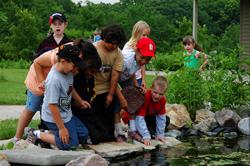 WAPELLO - sarching for frogs in the nature pond. .jpg