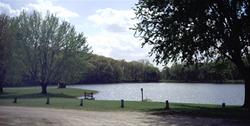 Cold Springs Park- Lake View