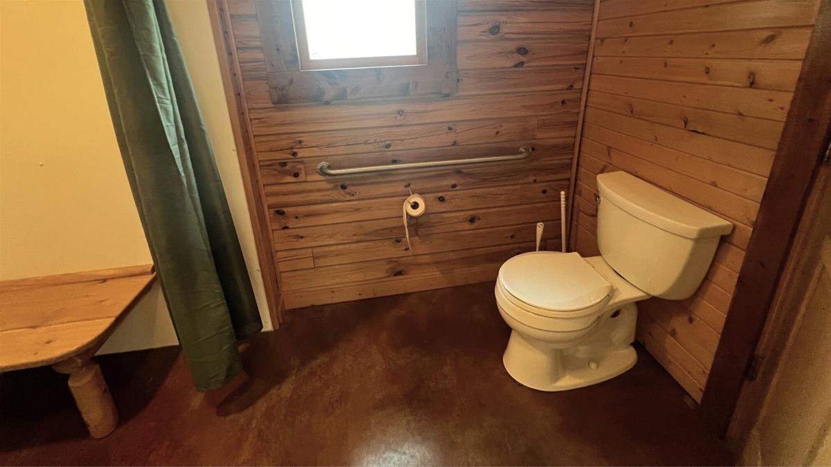 Cabin bathroom with toilet and accessible shower