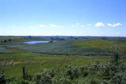 AUDUBON - Wetland.jpg