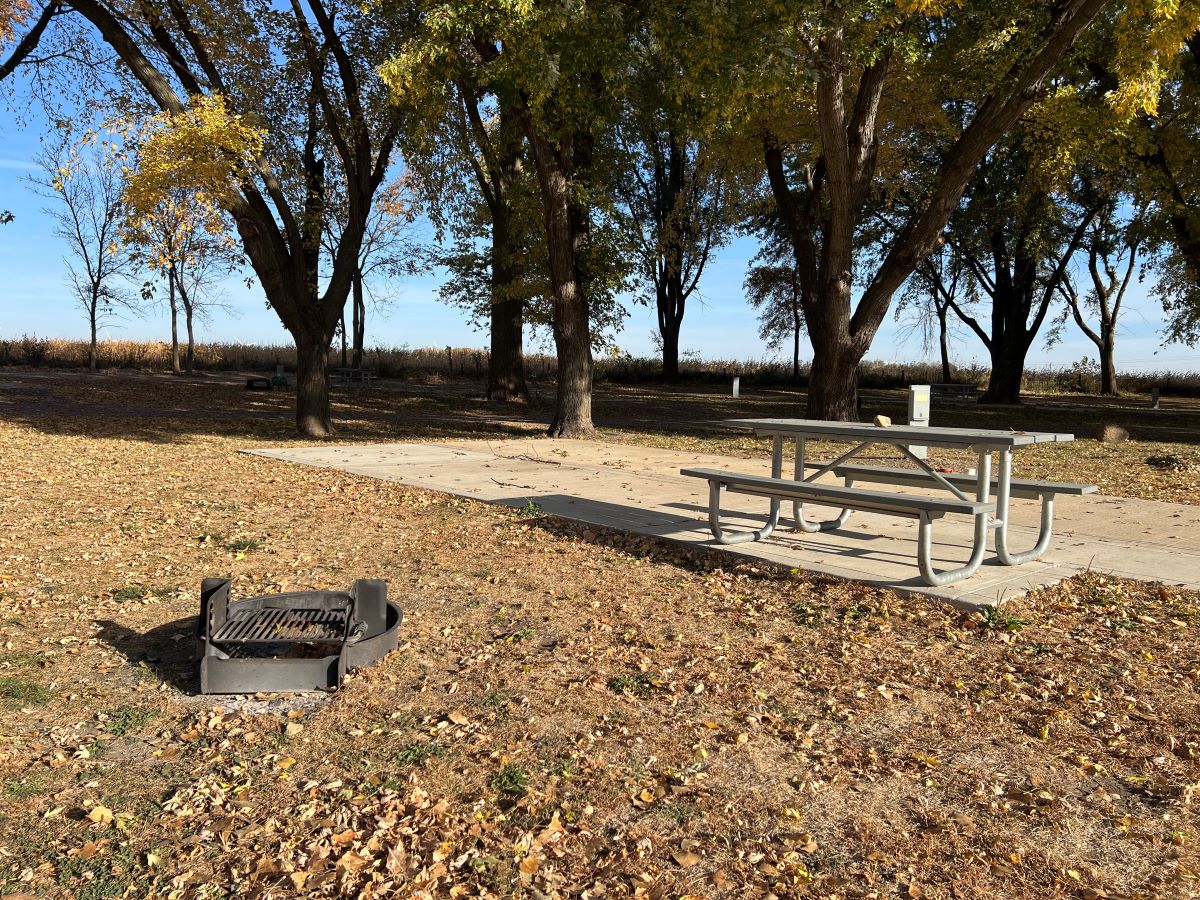 Douma campsite #9 cement parking pad with large trees and picnic table