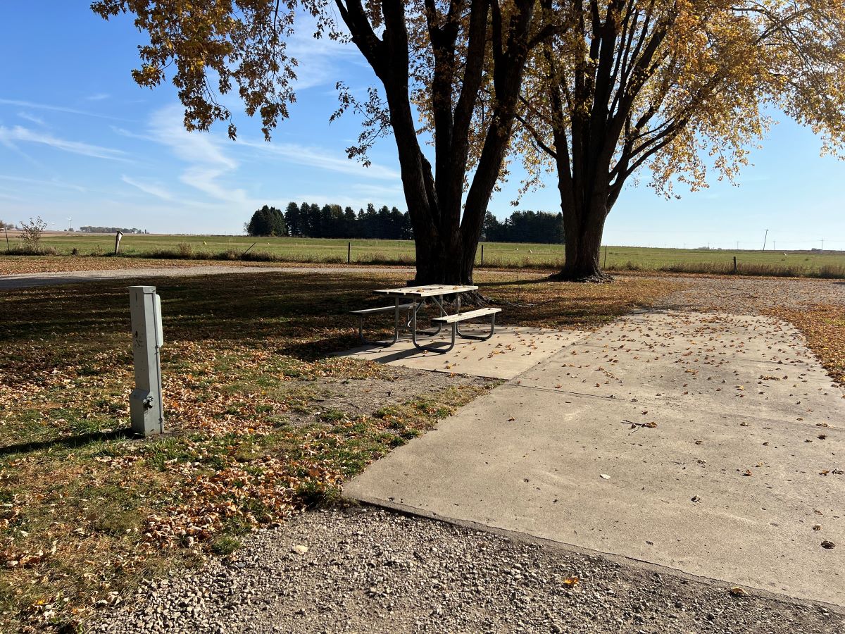 Mill Creek Campsite #1 cement parking pad with trees and picnic table