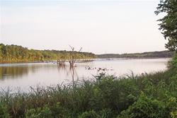 The north end of Little River Lake is flooded timber which provides great fishing.