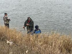 Trout Release