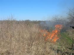 Bobwhite State Park Prairie Burn