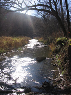 DELAWARE - Twin Bridges creek.jpg