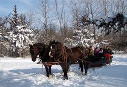 Sleigh and carriage rides from the Equestrian Center - Jester Park, Polk County, IA