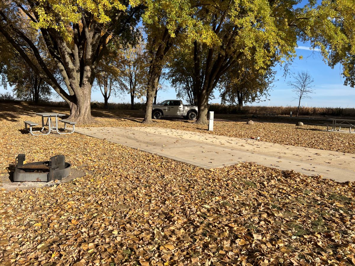 Douma campsite #13 cement parking pad with large trees and picnic table