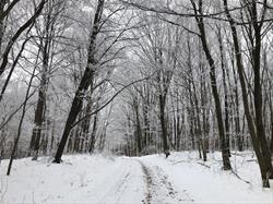 Eby's Mill Wildlife Area - Jones, IA