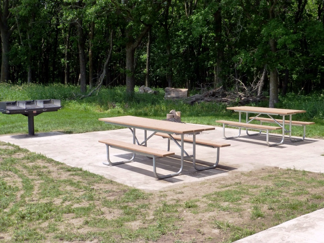 Family Cabin cement patio with stand up grill, ADA picnic tables, and firepit with a forest backgrou