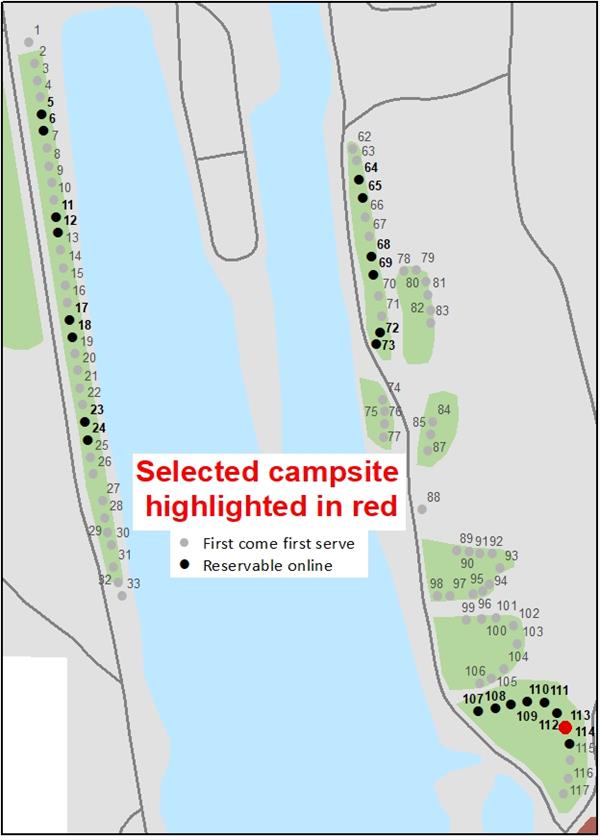 Campsite #113 - Spring Lake