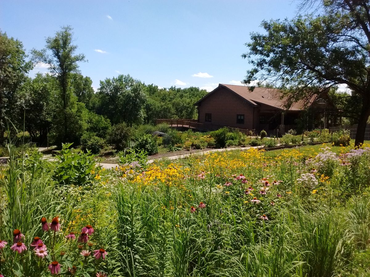 Lake Iowa Nature Center - Outside summer view of nature center from the prairie east of building