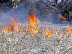 Spring Burn at Discovery Park in Muscatine 2024