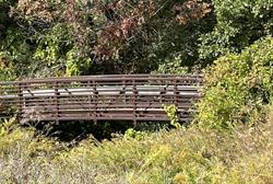 Discovery Park Trail Bridge