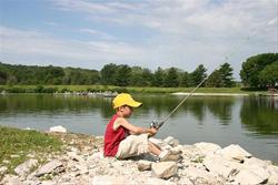 Fish at Arrowhead Park