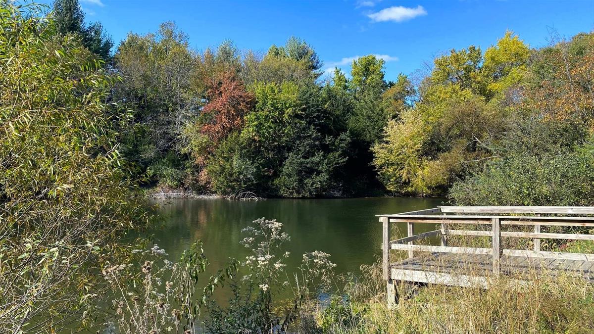 Pond in front of cabin