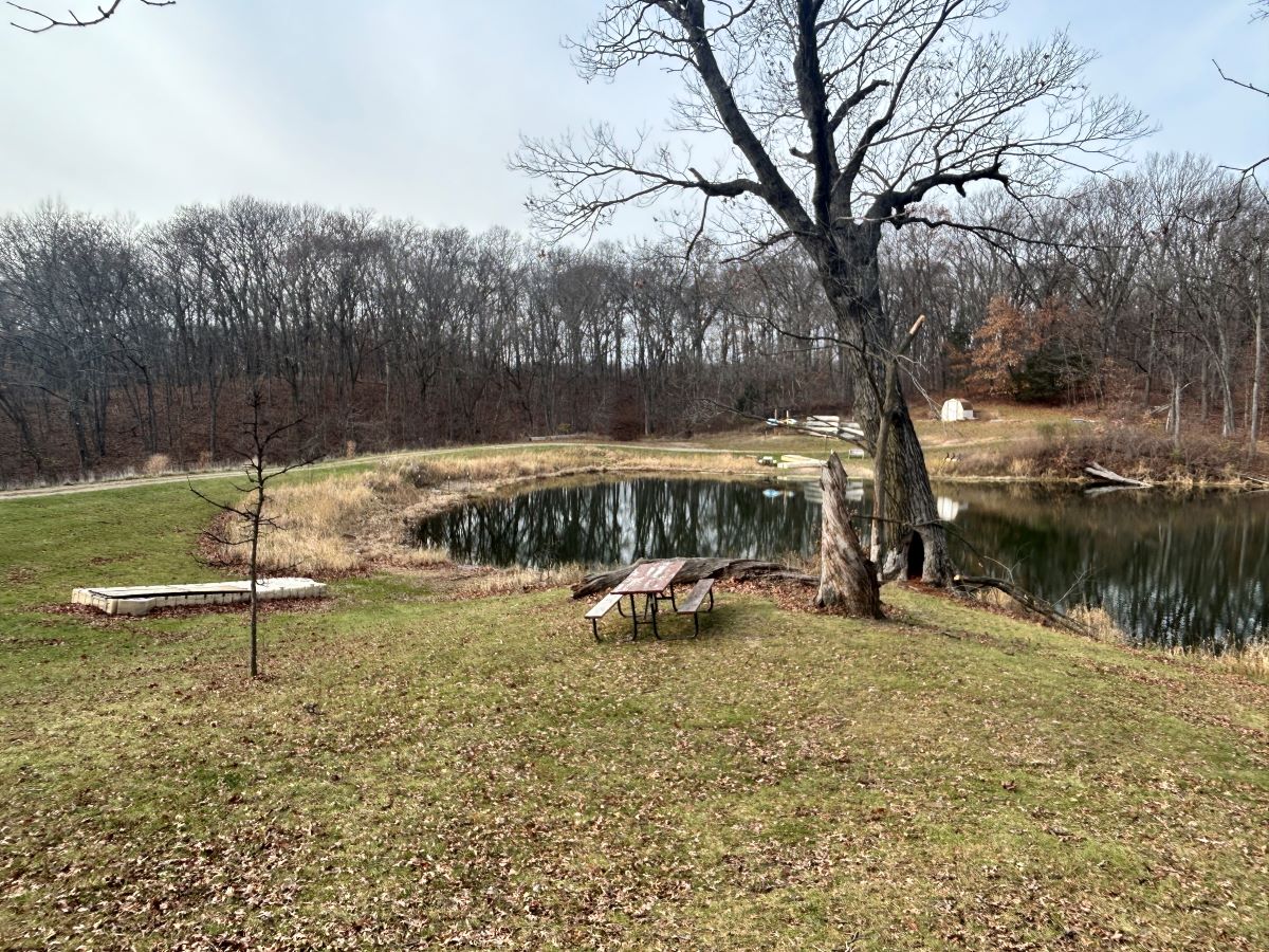 Langwood Education Center Lower Pond View from Campfire Ring