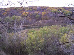 Bennie Hall Wildlife Area