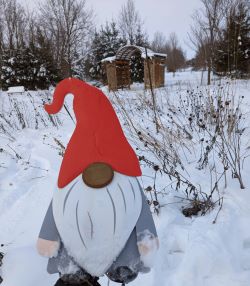 Gnome Hunt