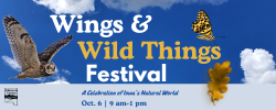 Wings & Wild Things Festival