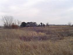 Patton Prairie