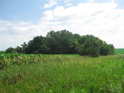 Surrounded by Fields