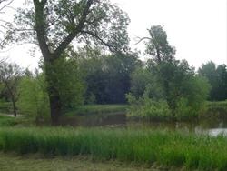 Cortright Wildlife Area - Buchanan, IA