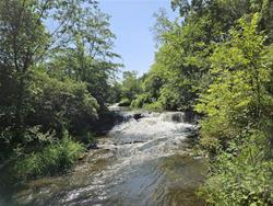 Briggs Woods Water Falls