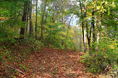 Hiking Trail at Lake Meyer Park