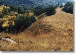 MONONA - Loess Hills.jpg