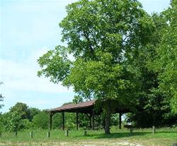 Kobville Shelter 