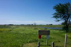 Meier Memorial Marsh