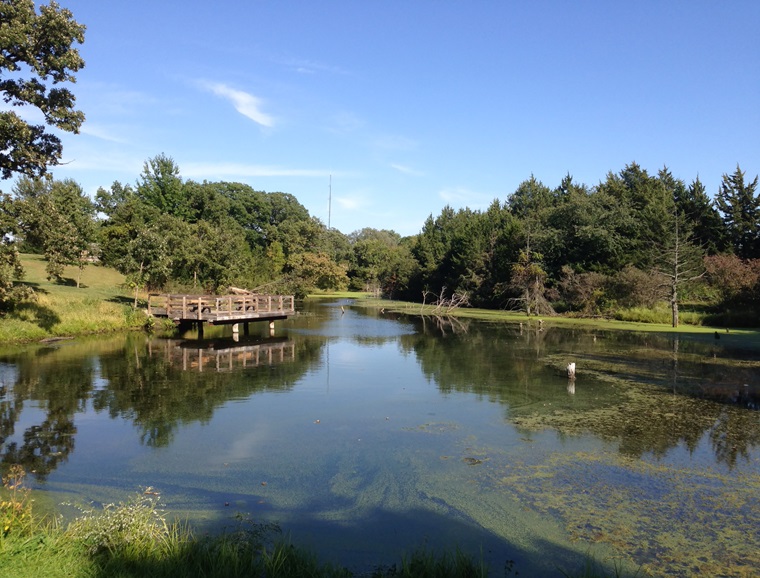Heron Hideaway Pond