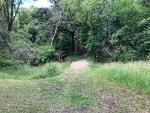 Ackley Creek trail head