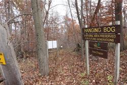 Hanging Bog sign