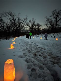 Luminary Walk