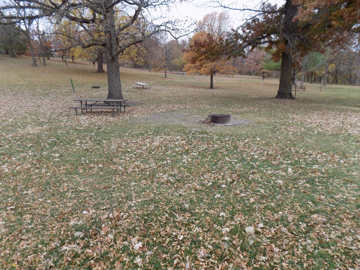 Jester Park campsite 429 grass pad