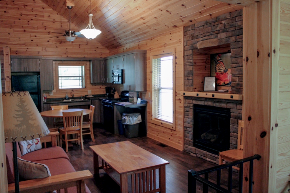 Cabin 2 living room and kitchen overview from back patio door including futon, coffee table, firepla